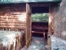 Vadaspark-010.jpg