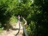 Vadaspark-018.jpg