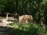 Vadaspark-019.jpg