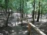 Vadaspark-020.jpg